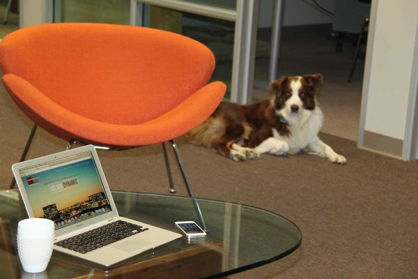 Dynamic Concepts Friendly Atmosphere