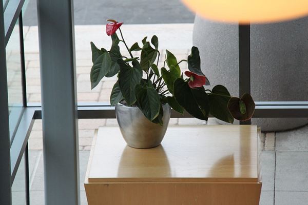 Dynamic Concepts Interior Decoration