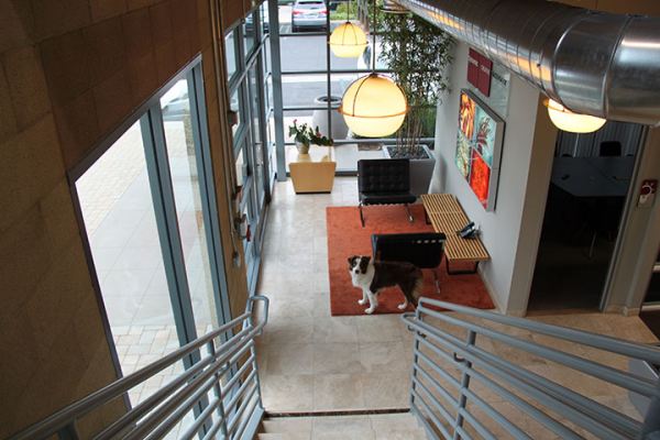 Dynamic Concepts Interior Stairs